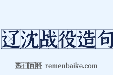 辽沈战役造句是什么意思的图片